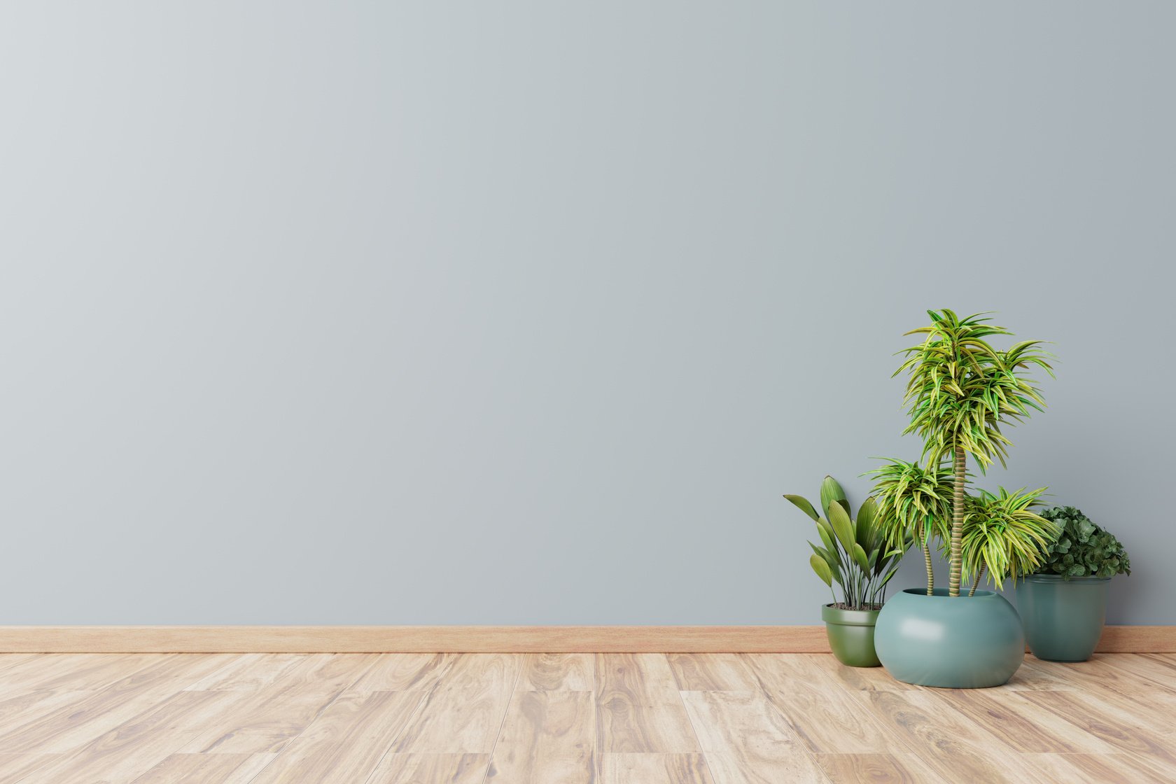 Empty Room with Plants Mockup